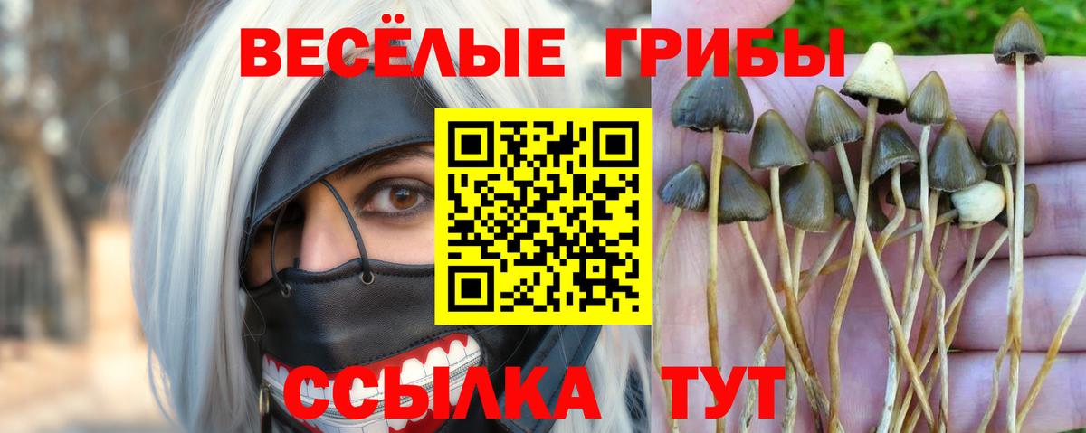 Советск  закладка  Вход с VPN  Псилоцибиновые грибы ЛСД 